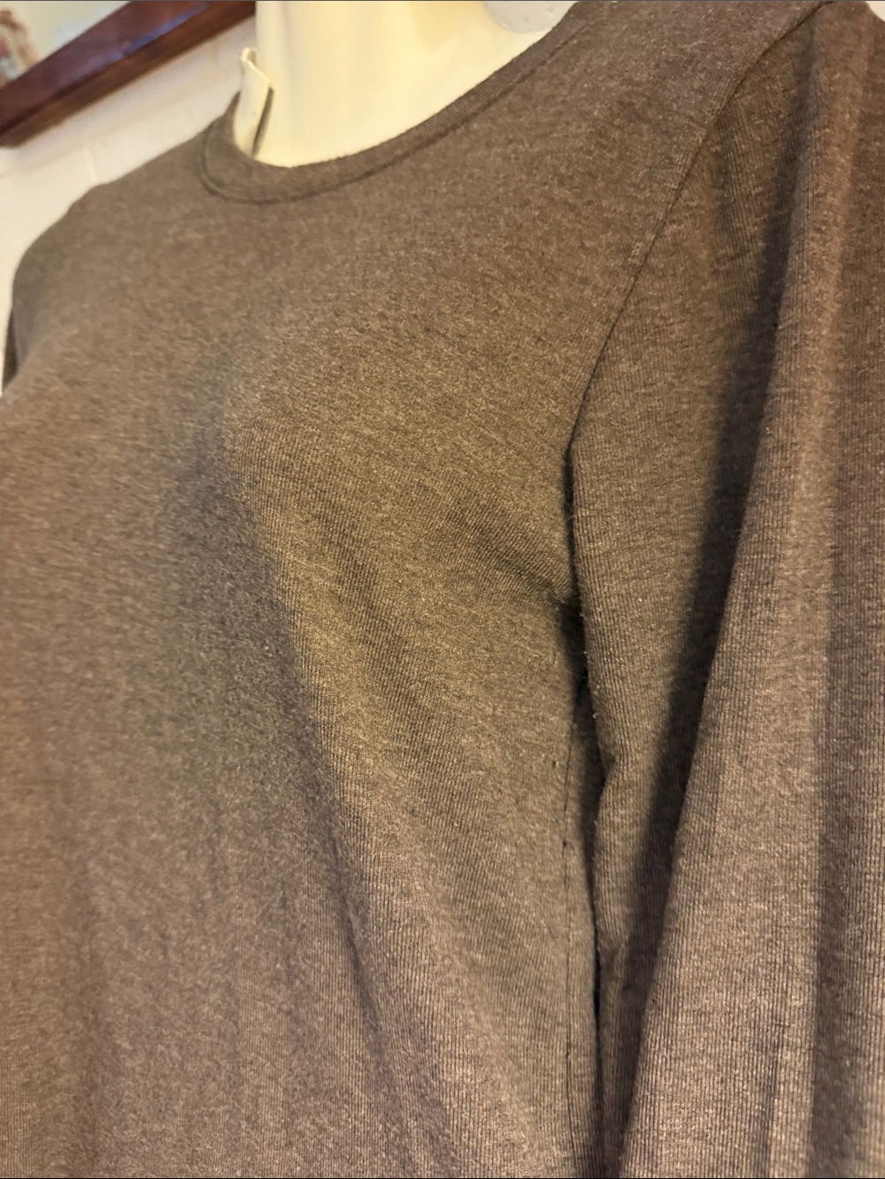 American eagle - Picture 2 of 5